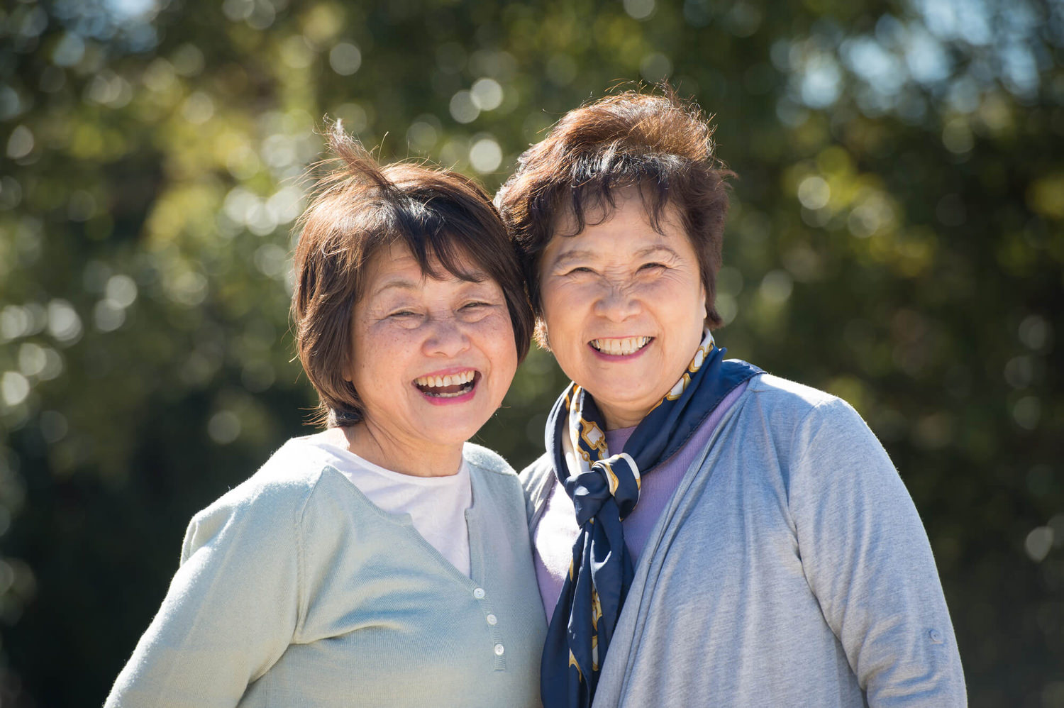 認知症対策で家族信託契約をされた依頼者のその後　山林編　【事例】